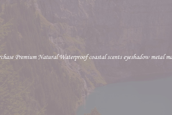 Purchase Premium Natural Waterproof coastal scents eyeshadow metal mania