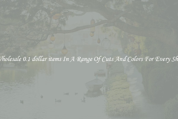 Wholesale 0.1 dollar items In A Range Of Cuts And Colors For Every Shoe