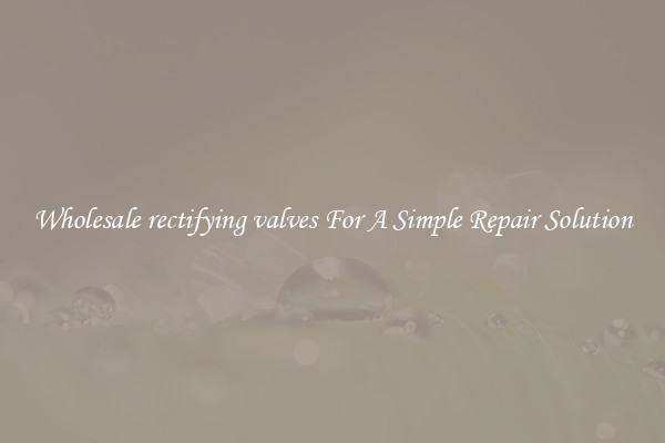 Wholesale rectifying valves For A Simple Repair Solution