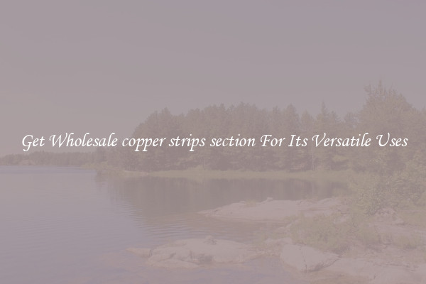 Get Wholesale copper strips section For Its Versatile Uses