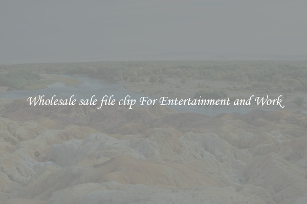 Wholesale sale file clip For Entertainment and Work