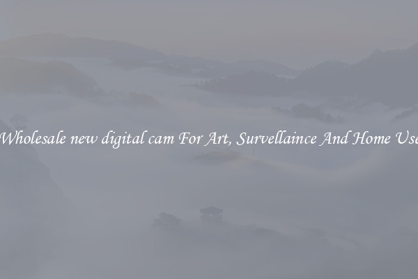 Wholesale new digital cam For Art, Survellaince And Home Use
