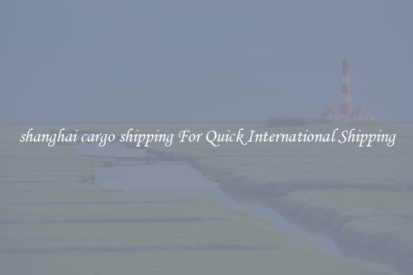 shanghai cargo shipping For Quick International Shipping