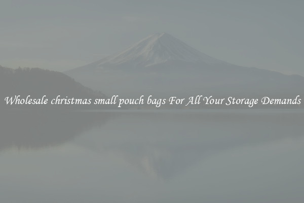 Wholesale christmas small pouch bags For All Your Storage Demands
