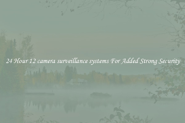 24 Hour 12 camera surveillance systems For Added Strong Security