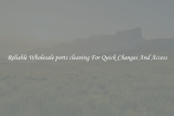 Reliable Wholesale ports cleaning For Quick Changes And Access