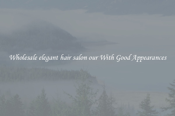 Wholesale elegant hair salon our With Good Appearances