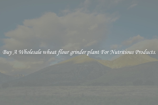 Buy A Wholesale wheat flour grinder plant For Nutritious Products.