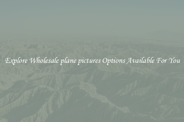 Explore Wholesale plane pictures Options Available For You