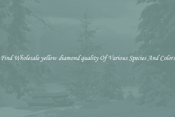 Find Wholesale yellow diamond quality Of Various Species And Colors
