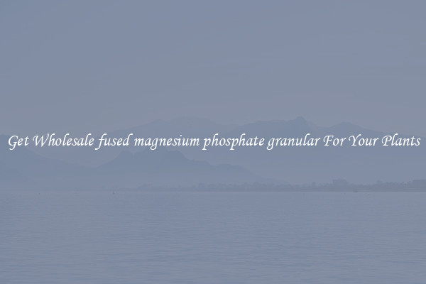 Get Wholesale fused magnesium phosphate granular For Your Plants