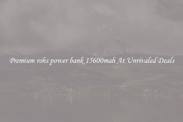 Premium rohs power bank 15600mah At Unrivaled Deals