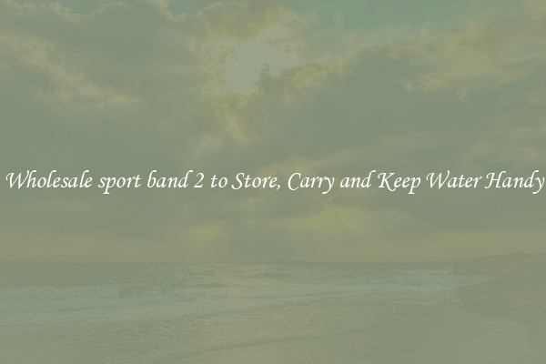 Wholesale sport band 2 to Store, Carry and Keep Water Handy