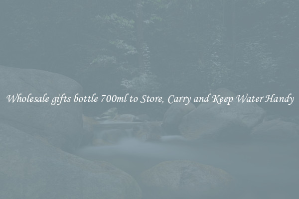 Wholesale gifts bottle 700ml to Store, Carry and Keep Water Handy