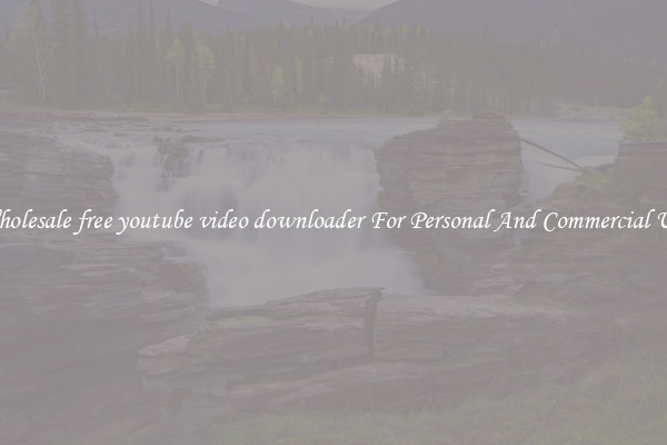 Wholesale free youtube video downloader For Personal And Commercial Use