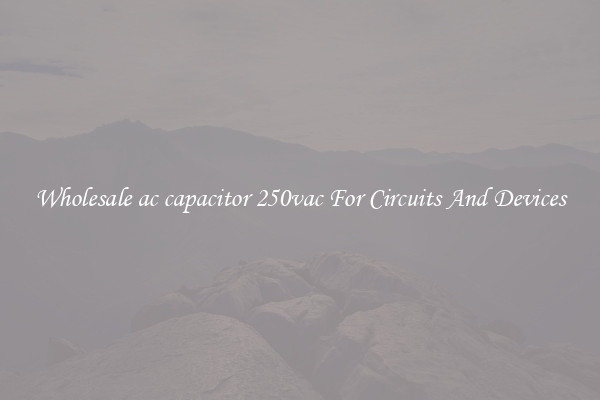 Wholesale ac capacitor 250vac For Circuits And Devices