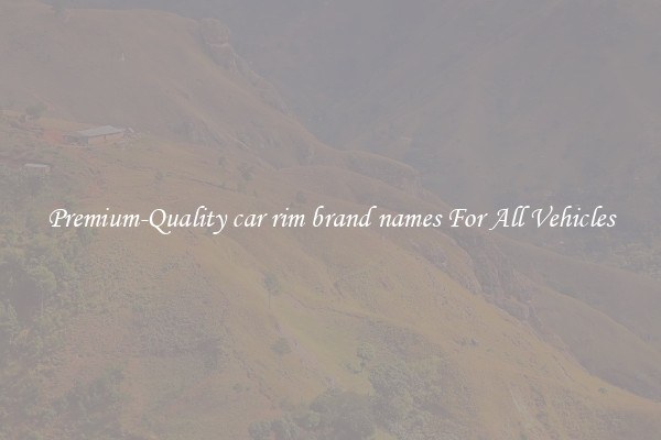 Premium-Quality car rim brand names For All Vehicles