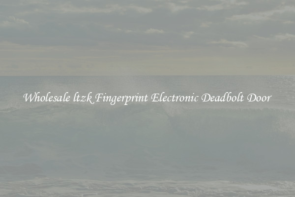 Wholesale ltzk Fingerprint Electronic Deadbolt Door 