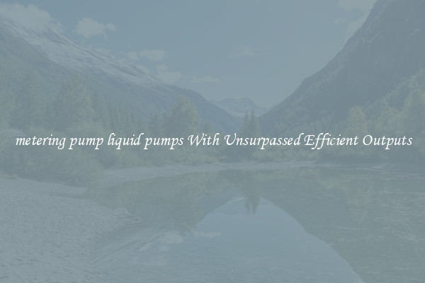 metering pump liquid pumps With Unsurpassed Efficient Outputs