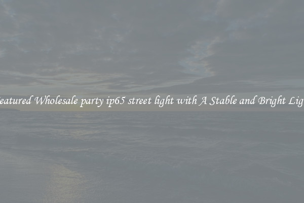 Featured Wholesale party ip65 street light with A Stable and Bright Light