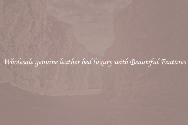 Wholesale genuine leather bed luxury with Beautiful Features