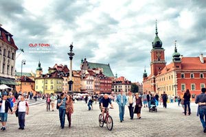 欢迎在宝塔面板安装Z-BlogPHP！